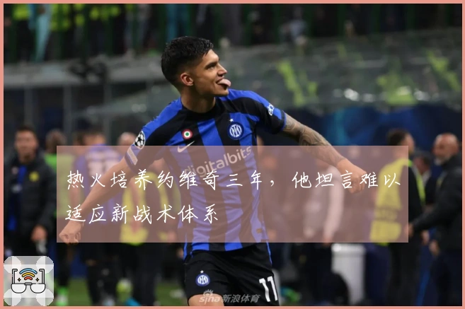 热火培养约维奇三年，他坦言难以适应新战术体系