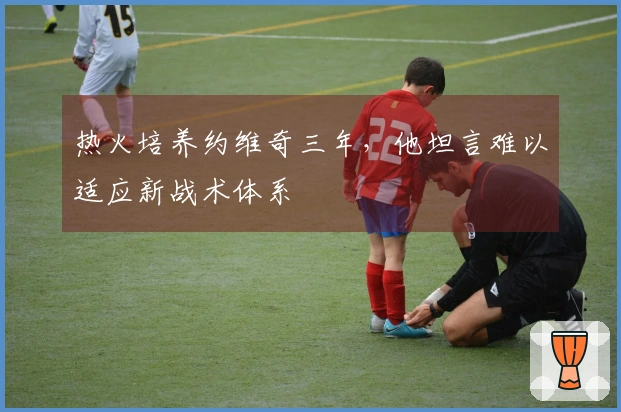 热火培养约维奇三年，他坦言难以适应新战术体系